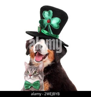 St. Patrick's Day fest. Niedlicher Hund in Kobold Hut und Katze mit grüner Fliege isoliert auf weiß Stockfoto