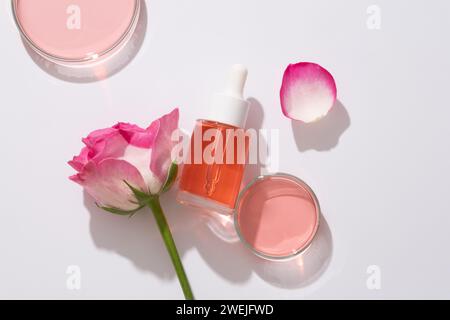 Flach liegendes kosmetisches Modell mit Glasflasche und Tropfkappe mit rosafarbener Flüssigkeit, frischer Rose und Petrischale gefüllte Essenz auf weißem Hintergrund. Adver Stockfoto