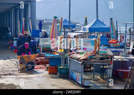 Samcheok City, Südkorea - 28. Dezember 2023: Arbeiter auf dem Imwon Port's Markt sortieren den Tagesfang, wobei Fische zum Trocknen hängen und auf dem Tisch liegen Stockfoto