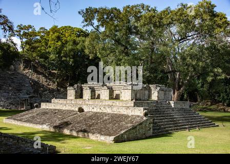 Blick auf den Ball Court in den Copan Mayan Ruinen, Copan Ruinas, Honduras Stockfoto