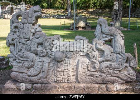 Carving in den Copan Mayan Ruinen, Copan Ruinas, Honduras Stockfoto