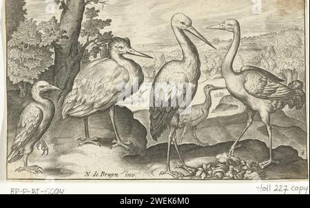 Ooievaar, Kraanvogel, Reiger und Lepelaar, Anonym, nach Nicolaes de Bruyn, 1594 - 1644 Druckpapier mit dem Gravur von Ufer- und Watvögeln: Storch. Ufer- und Watvögel: Kran. Ufervögel und Watvögel: reiher Stockfoto