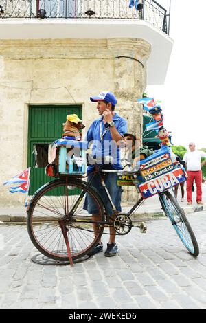 Gekleidete Hunde unterhaltsame Touristen in Old Havanna, Kuba. Stockfoto