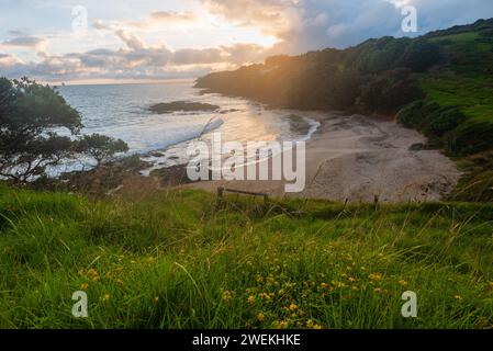 Sonnenaufgang in Waipu Cove, Northland, Neuseeland Stockfoto