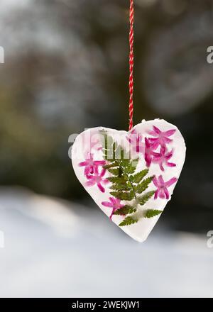 Wunderschönes gefrorenes Herz aus Eis, Farnblatt und rosa Hyazinthen, das draußen in einem Wintergarten an einem Baum hängt. Stockfoto