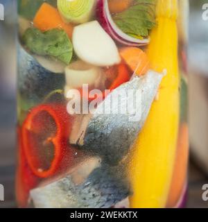 Salzen von Gemüse und Fisch im Glasgefäß zur Langzeitlagerung. Nahaufnahme von fermentiertem bunten Gemüse und Fisch im Glasgefäß. Stockfoto