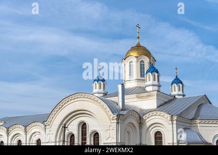 Das Kloster Ust-Medveditsky Spaso-Preobrazhensky. Serafimowitsch. Oblast Wolgograd. Russland Stockfoto