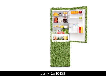Umweltfreundlicher, energieeffizienter Kühlschrank aus Gras mit Lebensmitteln auf weißem Hintergrund Stockfoto