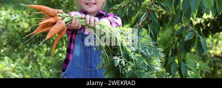 Baby Mädchen hält Karotten im Garten Kind essen gesunde Ernährung Lebensstil vegan Bio-Rohgemüse Home gewachsen Sommer Gartenarbeit Konzept Stockfoto