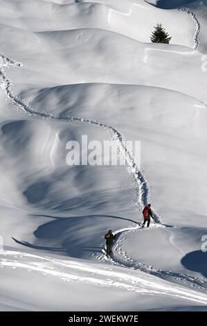 Schneeschuh Wandern im Naturpark Beverin, Graubünden, Schweiz *** Schneeschuhwandern im Naturpark Beverin, Graubünden, Schweiz Stockfoto