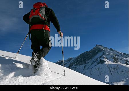 Schneeschuh Wandern im Naturpark Beverin, Graubünden, Schweiz *** Schneeschuhwandern im Naturpark Beverin, Graubünden, Schweiz Stockfoto