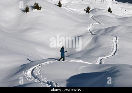 Schneeschuh Wandern im Naturpark Beverin, Graubünden, Schweiz *** Schneeschuhwandern im Naturpark Beverin, Graubünden, Schweiz Stockfoto