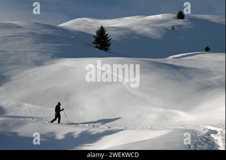 Schneeschuh Wandern im Naturpark Beverin, Graubünden, Schweiz *** Schneeschuhwandern im Naturpark Beverin, Graubünden, Schweiz Stockfoto