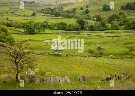 Großbritannien, England, Lancashire, Colne, Laneshawbridge, River Worth Valley Stockfoto