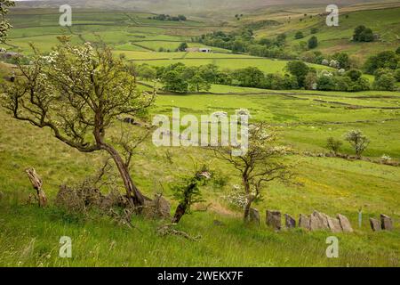 Großbritannien, England, Lancashire, Colne, Laneshawbridge, River Worth Valley Stockfoto