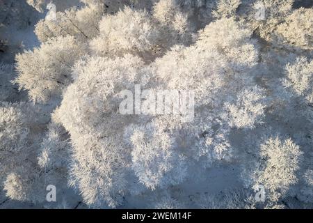 Blick aus der Vogelperspektive auf die Wälder in der Nähe des Heiligtums von Oropa im Winter bei Sonnenaufgang. Biella, Bezirk Biella, Piemont, Italien, Europa. Stockfoto