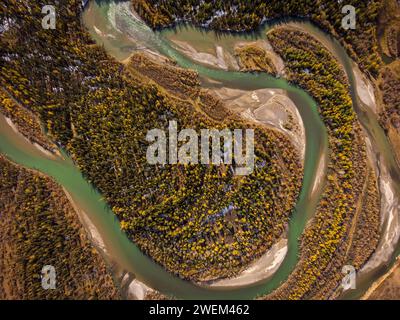 Atemberaubende Drohnenaufnahme des Serpentinflusses des Katun-Flusses inmitten des lebhaften Herbstblatts in der Region Altai in Russland. Stockfoto