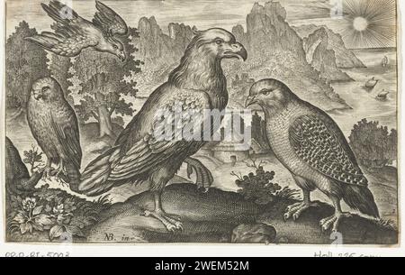 Arend und andere Greifvögel, Anonym, nach Nicolaes de Bruyn, 1594 - 1644 Druckpapier mit Gravur Raubvögel Stockfoto