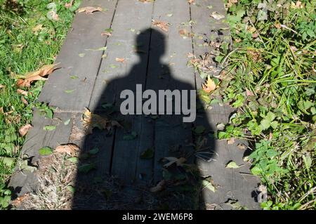 Schatten einer Person auf Holzsteg Stockfoto