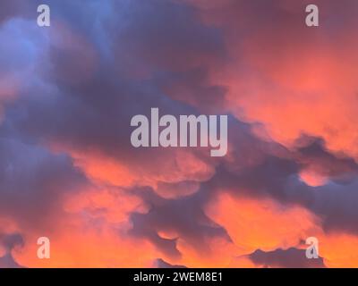 Orange geschwollene Wolken vor blauem Hintergrund Stockfoto