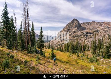 Wandern Sie einen steilen Hang hinauf in der Mount Zirkel Wilderness, Colorado Stockfoto