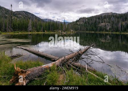 Gold Creek Lake in der Mount Zirkel Wilderness, Colorado Stockfoto