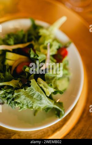 Nahaufnahme von Salat mit Salat, Zwiebeln, Tomaten und Gurke auf einem Teller Stockfoto