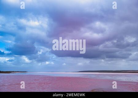 Der extrem salzige Pink Lake (Hutt Lagoon) in der Nähe von Port Gregory, Kalbarri, Coral Coast, Western Australia an einem bewölkten Sommertag Stockfoto