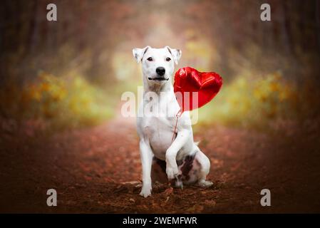 Alles Gute zum Valentinstag. Der Mensch und seine Liebe zu Tieren. D Stockfoto