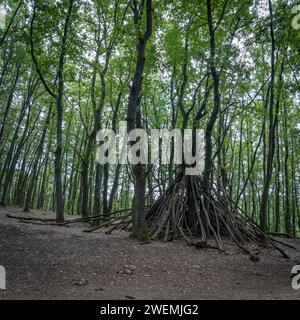 Blick auf ein hölzernes Tipi im Wald Bois de Serre, Waldrand Stockfoto