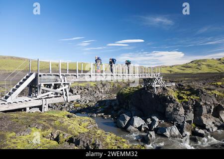 Island, Trekking auf dem Thorsmork - Landmannalaugar Trail in der Nähe des Sees Alftavatn. Stockfoto