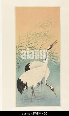 Zwei Kräne, Ohara Koson, 1925–1936 drucken zwei Kräne in flachem Wasser; Reed auf grünem und orangefarbenem Hintergrund. Papierfarbe Holzschnitt-Ufervögel und Watvögel: Kran. Wasserlauf Stockfoto