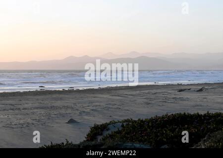 Am Strand in der Nähe von Morro Bay, Pazifik, Kalifornien, USA Stockfoto