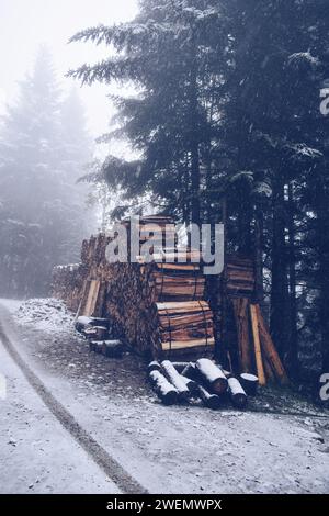 Baumstämme, die auf einer verlorenen Straße in der Schweiz geschnitten und gestapelt wurden. Auf dem Burgenstock am 18. November 2019 Stockfoto