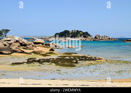 Bucht der rosa Granitküste mit Sandstrand und Felsbrocken, Tregastel, Cotes-d'Armor, Bretagne, FranceBoulders am Strand des rosa Granits Stockfoto