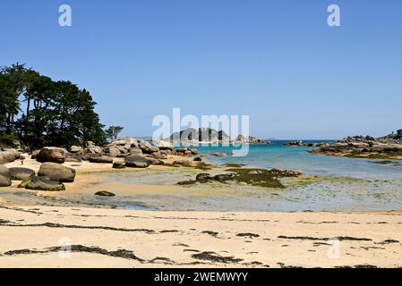 Bucht der rosa Granitküste mit Sandstrand und Felsbrocken, Tregastel, Cotes-d'Armor, Bretagne, Frankreich Stockfoto