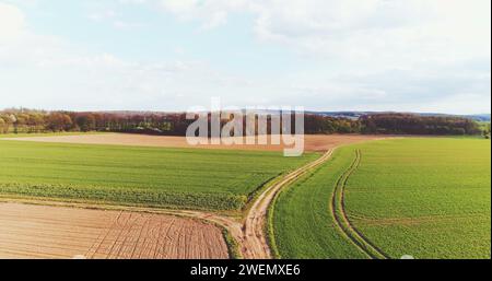 Frisch bewirtschaftetes Ackerfeld - GVO-freie Nahrungsmittelproduktion Stockfoto