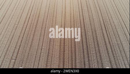 Frisch bewirtschaftetes landwirtschaftliches Feld - GVO-freie Nahrungsmittelproduktion - Drohne, Luftaufnahme. Stockfoto