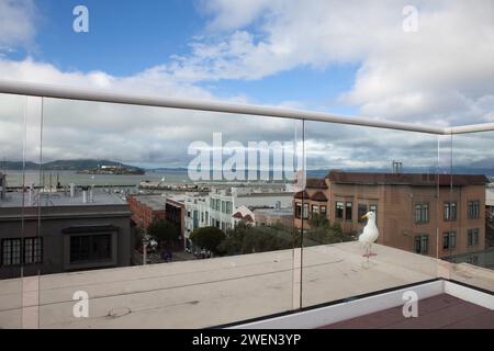 Ein Blick auf die Straßen von san francisco mit der Gefängnisinsel alcatraz in der Ferne Stockfoto