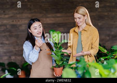 Gärtnerin des Gewächshauses oder Blumenhändlers zeigt Pflanze im Topf für weibliche Kunden und hilft bei der Auswahl im Innenraum des Pflanzenladens. Kleine Unternehmen Stockfoto