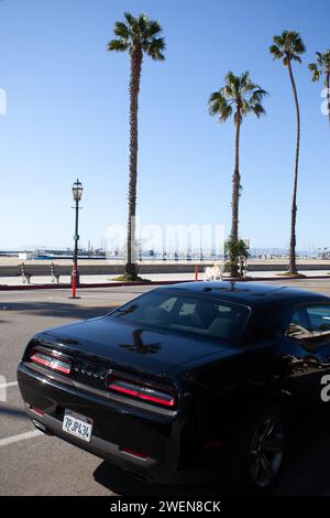 2019 Black Dodge Challenger Muscle Car parkte auf einer Straße mit den Rückleuchten und der Registrierung in Santa Barbara, Kalifornien. Stockfoto