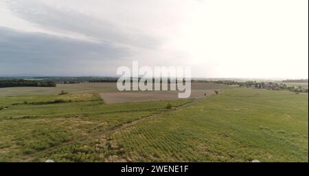 Luftaufnahme von Agrar- und Waldflächen Stockfoto