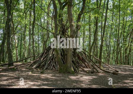 Blick auf ein hölzernes Tipi im Wald Bois de Serre, Waldrand Stockfoto