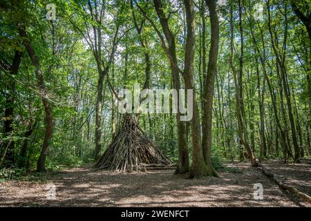 Blick auf ein hölzernes Tipi im Wald Bois de Serre, Waldrand Stockfoto