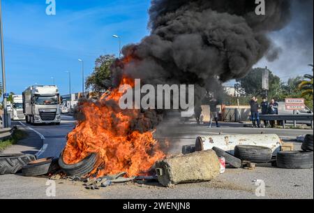 Perpignan, Frankreich. Januar 2024. © PHOTOPQR/L'INDEPENDENT/MICHEL CLEMENTZ ; PERPIGNAN ; 26/01/2024 ; SOCIAL/MANIFESTATION DES AGRICULTEURS EN COLERE/BLOCAGE TOTAL DE LA ZONE DU MARCHE INTERNATIONAL SAINT-CHARLES/- Protest der französischen Bauern Fortsetzung Frankreich 26. Januar 2024 Credit: MAXPPP/Alamy Live News Stockfoto