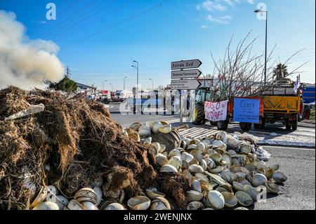 Perpignan, Frankreich. Januar 2024. © PHOTOPQR/L'INDEPENDENT/MICHEL CLEMENTZ ; PERPIGNAN ; 26/01/2024 ; SOCIAL/MANIFESTATION DES AGRICULTEURS EN COLERE/BLOCAGE TOTAL DE LA ZONE DU MARCHE INTERNATIONAL SAINT-CHARLES/- Protest der französischen Bauern Fortsetzung Frankreich 26. Januar 2024 Credit: MAXPPP/Alamy Live News Stockfoto