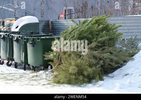 Nach dem Feiertag, entsorgte Weihnachtsbaumruine in der Nähe von Mülltonnen, sein festlicher Geist wird jetzt durch die ruhige Einsamkeit der schneebedeckten Umgebung ersetzt Stockfoto