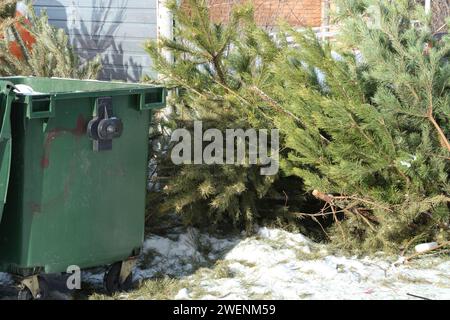 Nach dem Feiertag, entsorgte Weihnachtsbaumruine in der Nähe von Mülltonnen, sein festlicher Geist wird jetzt durch die ruhige Einsamkeit der schneebedeckten Umgebung ersetzt Stockfoto