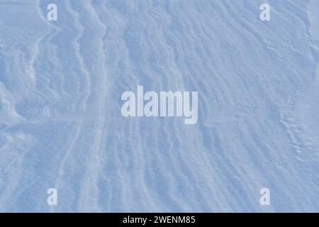 Schnee nach dem Wind bildet eine weiße Leinwand aus wirbelnden Mustern. Leicht, funkelnd, mit Eiskristallen. Eine einzigartige natürliche Textur und die Ruhe des Th Stockfoto