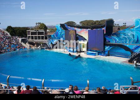 SeaWorld San Diego ist ein Freizeitpark in Mission Bay, San Diego, Kalifornien, USA. Es gibt mehrere umstrittene tägliche Walshows. Stockfoto